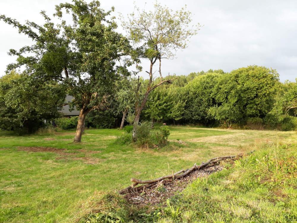 Terre De Reveries Maisoncelles-la-Jourdan Dış mekan fotoğraf