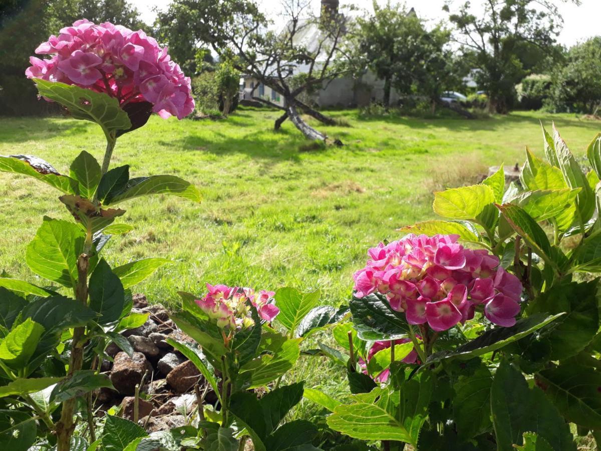 Terre De Reveries Maisoncelles-la-Jourdan Dış mekan fotoğraf